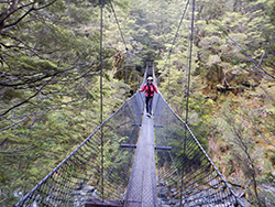 Lots of suspension bridges